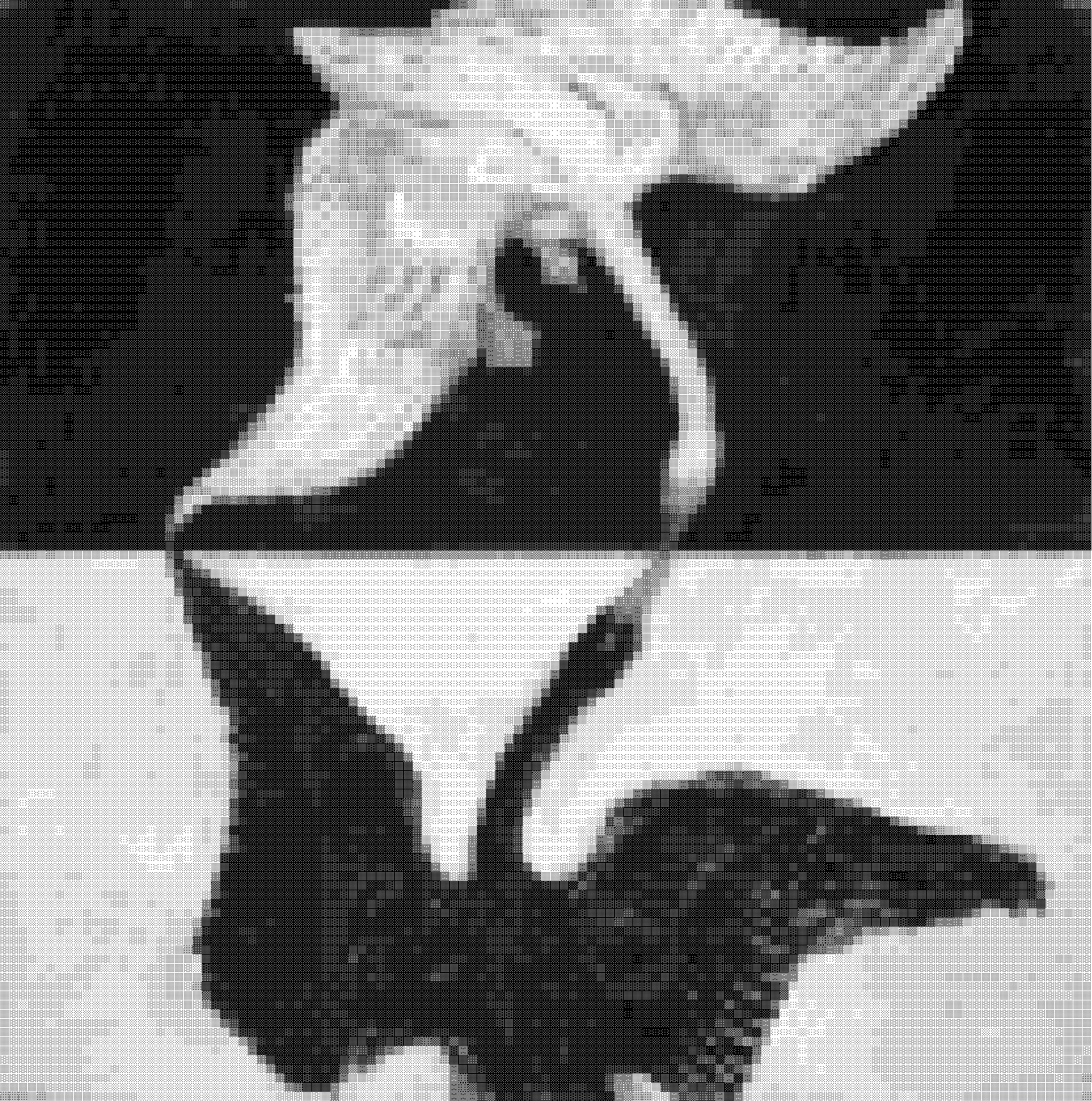 dithor version of the swan in low res